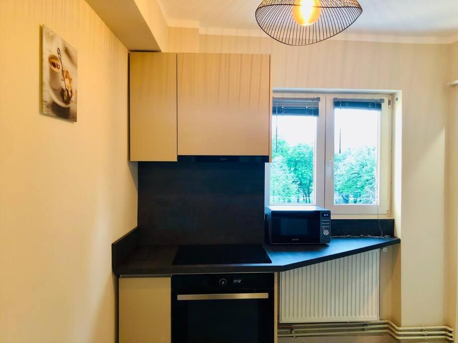 Joy City Stay Victoriei 7G-13 Timisoara Esterno foto